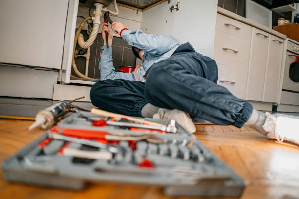 Best Local Plumber Services  in Versailles, IN