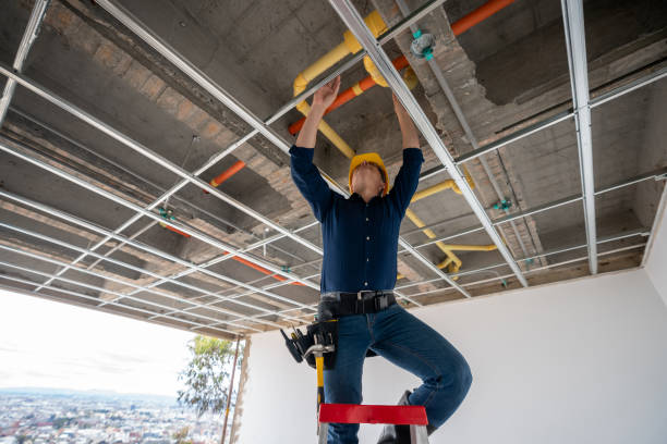 Best Plumbing Repair Near Me  in Versailles, IN