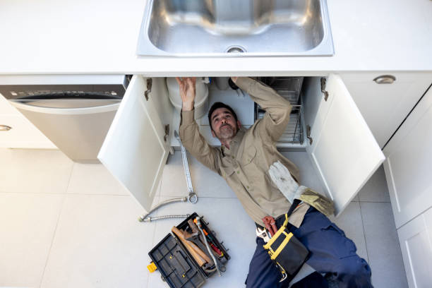 Best Clogged Drain Plumber  in Versailles, IN