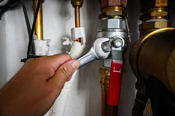 Best Faucet Repair  in Versailles, IN
